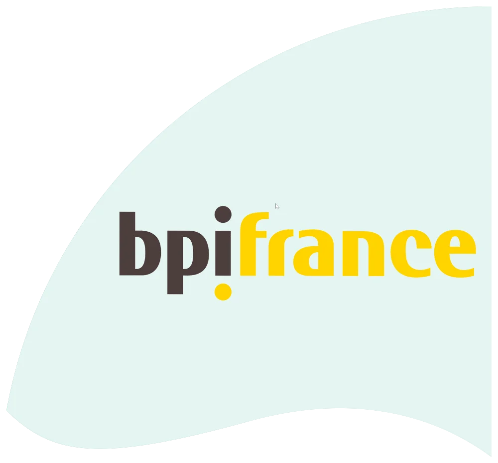 Logo BPIFRANCE
