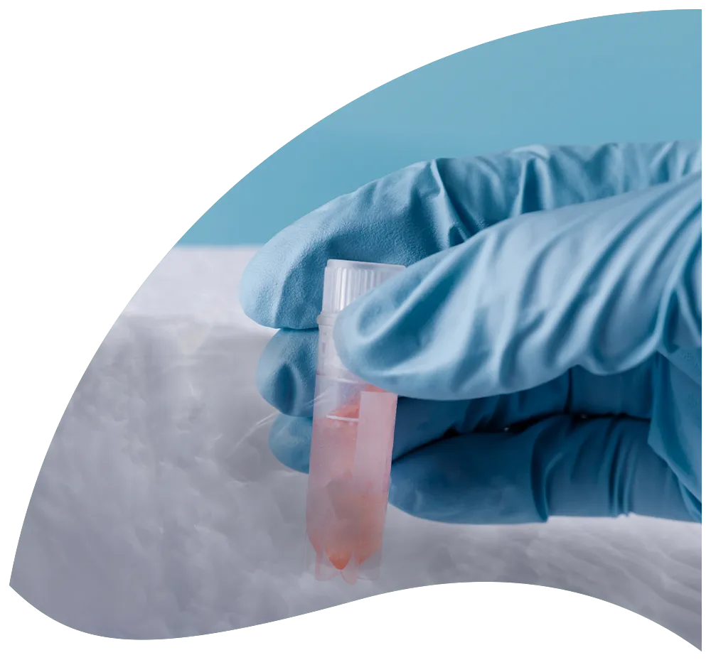Image d'un tube de cellules congelée pour illustrer la traçabilité d'échantillons biologiques